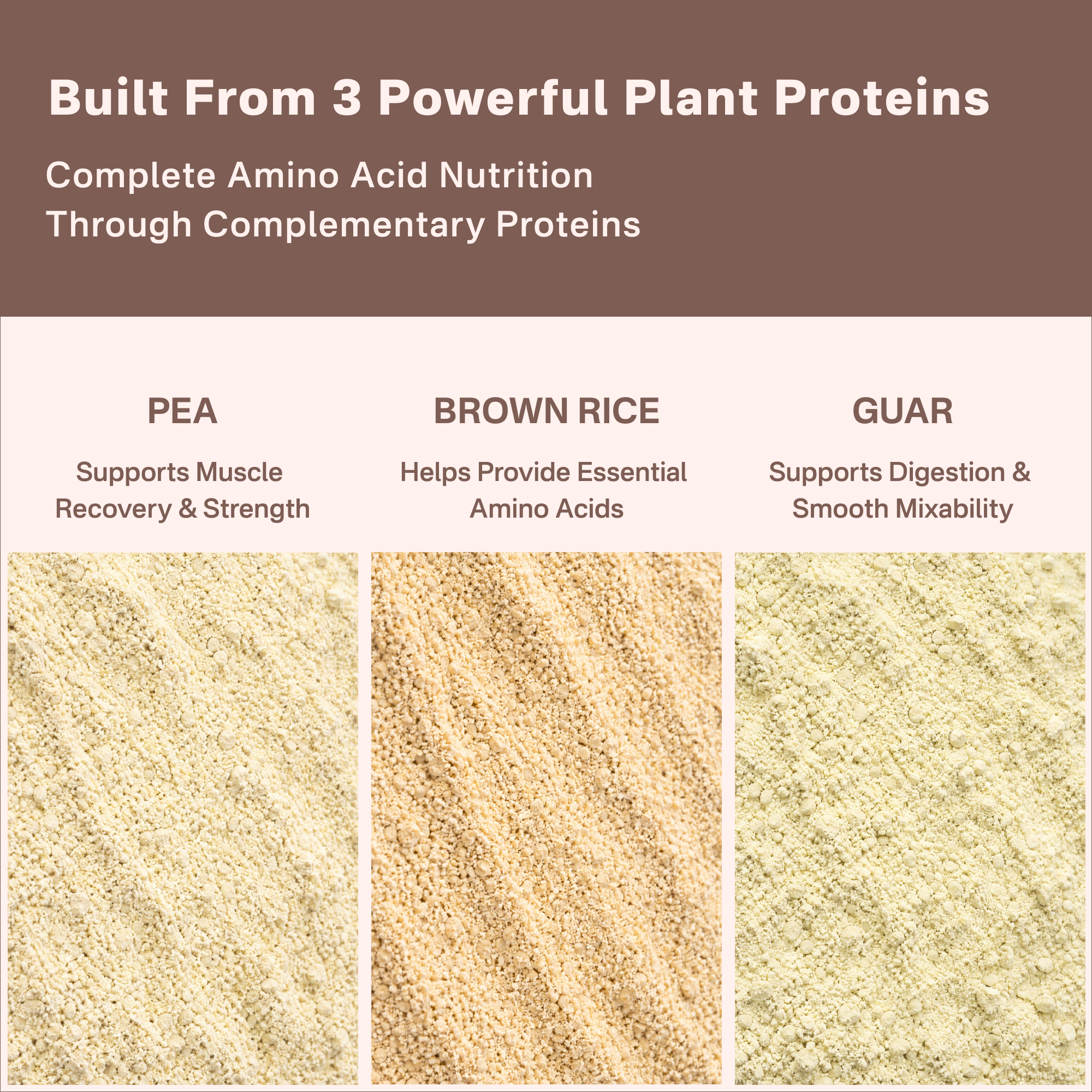 40738242232369 Three types of plant proteins with their respective benefits on a brown and white background.