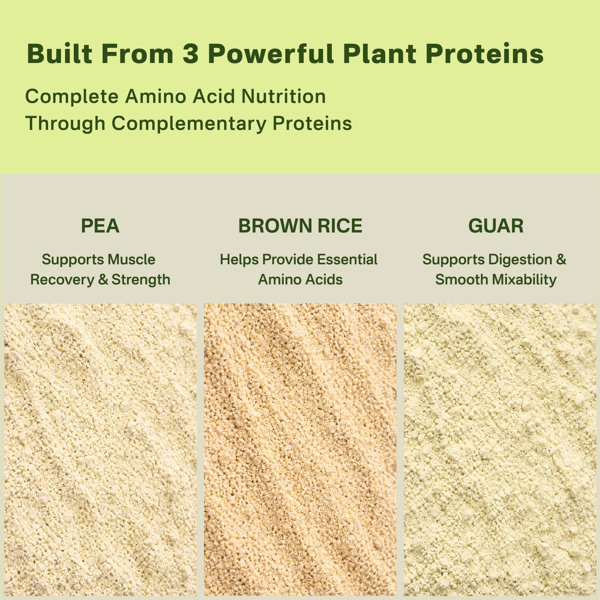 Three types of plant proteins with their respective benefits on a green and beige background.