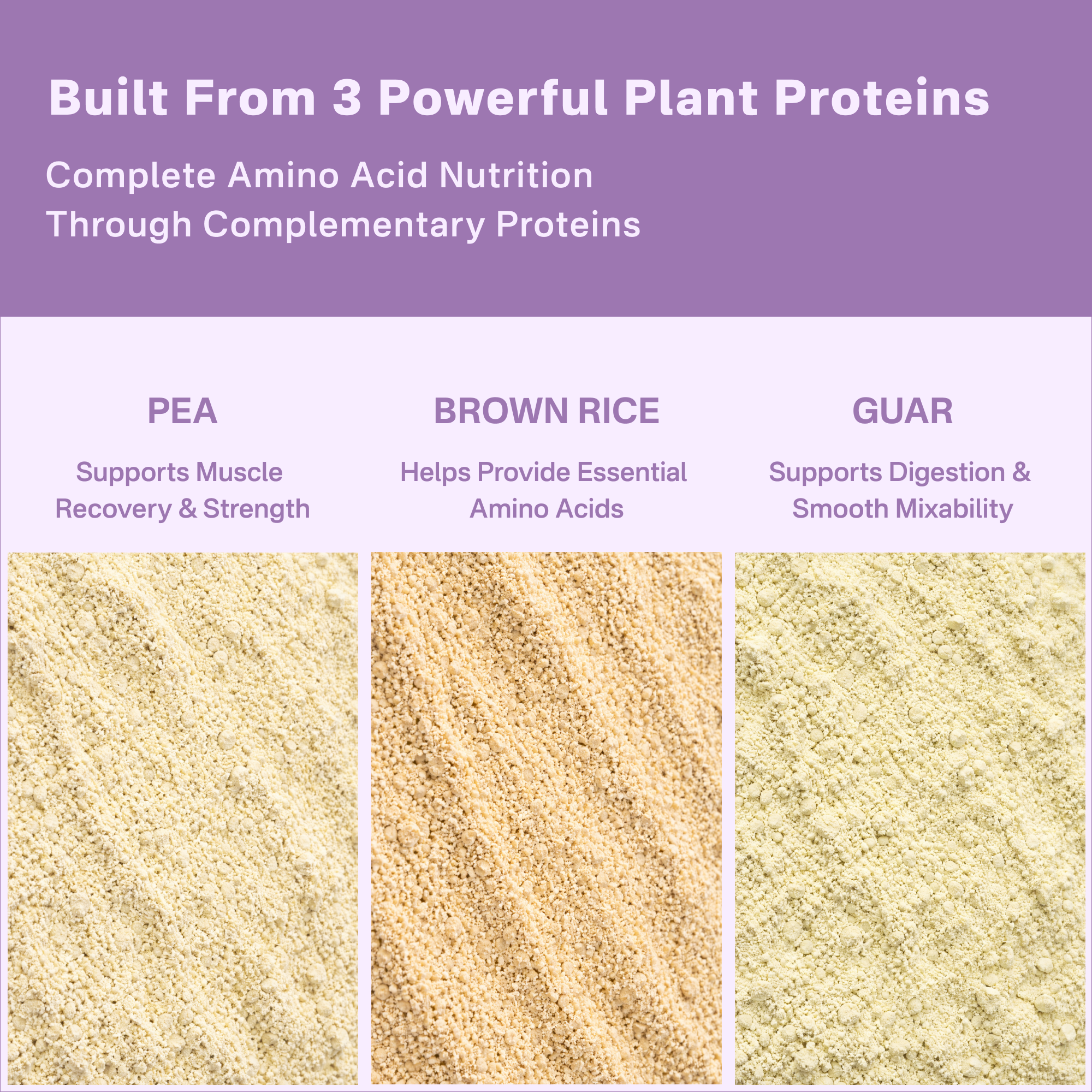 40793201082417 Three types of plant proteins with descriptions on a purple background